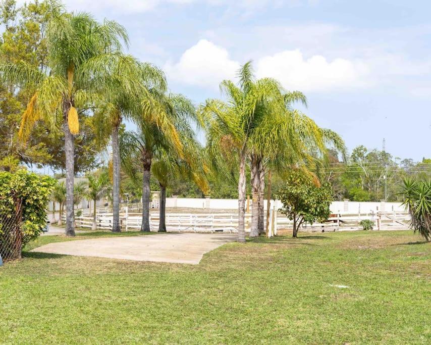 Tampa Bay Oasis Διαμέρισμα Τάρπον Σπρινγκς Εξωτερικό φωτογραφία