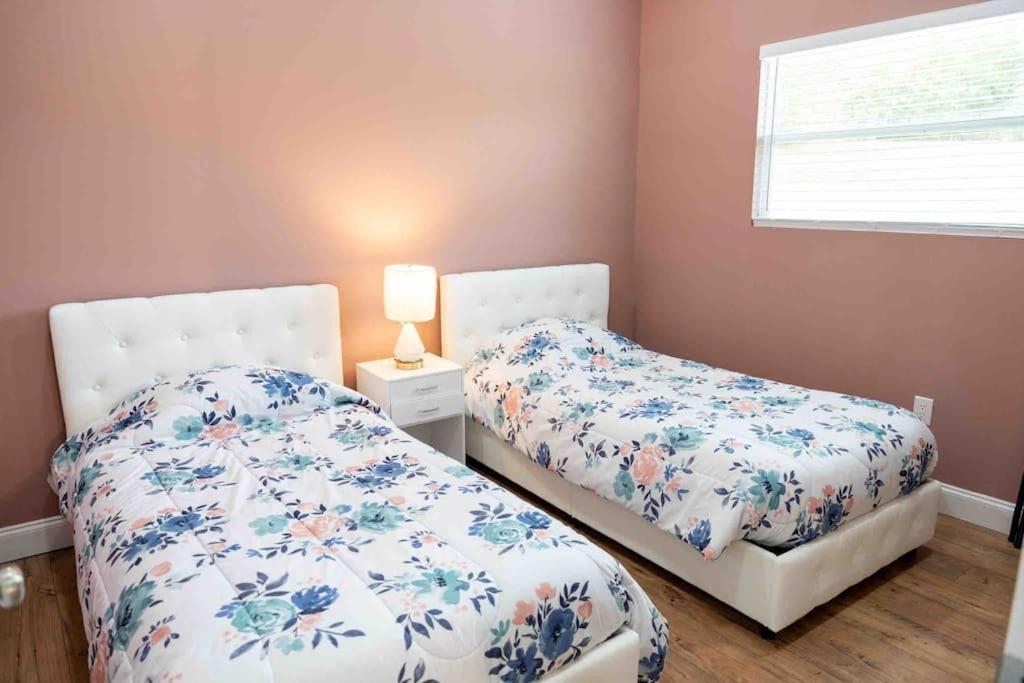 Tampa Bay Oasis Διαμέρισμα Τάρπον Σπρινγκς Εξωτερικό φωτογραφία