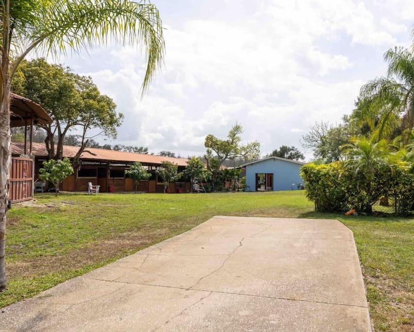 Tampa Bay Oasis Διαμέρισμα Τάρπον Σπρινγκς Εξωτερικό φωτογραφία